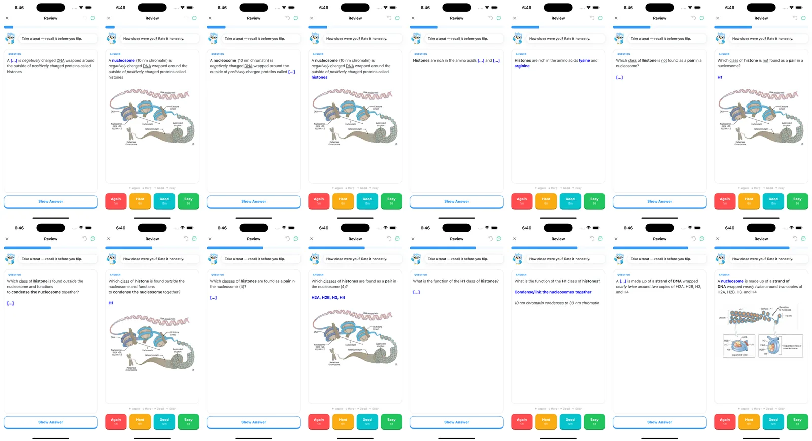 Sixteen screenshots of Zanki Physiology and Pathology cards in Guru on iPhone, front and back